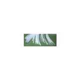 Bd Becton Dickinson - 427415 - Pe Tubing, 10 Ft X 0.030" 0.048"