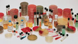 Bd Becton Dickinson - Bbl - 221263 - Media Columbian Agar 5%Sb