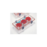 Bd Becton Dickinson - Gaspak - 260672 - Ez Incubation Container 30 To 33 Petri Dish Capacity, Easy Close Latch