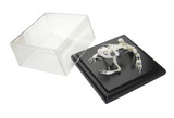 C&a Scientific - 51002 - Toad Skeleton