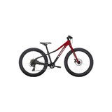 Roscoe Medical - Rl10040Abl - Roll Lghwt Loop Brakes - Blu