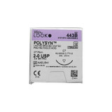 Surgical Specialties - Polysyn - 443B - Absorbable Suture With Needle Polyglycolic Acid C - 7 3/8 Circle Reverse Cutting Size 2 - 0 Braided