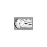 Teleflex - 200327 - Medical Surgical Tonsil Sponge X - Ray Detectable Cotton / Gauze 3/4 Inch Diameter 5 Count Pack Sterile