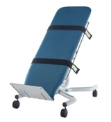 Fabrication Enterprises - 15-5152 - Tilt Table Motorized - Each