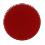 Bd Becton Dickinson - Bbl - 221801 - Prepared Media Mueller Hinton Agar With 5% Sheep Blood Mono - Plate Format - Box/24
