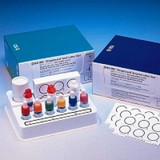 Bd Becton Dickinson - Bbl Cultureswab - 240917 - Streptocard Other Infectious Disease Test Kit Streptococci Groups A, B, C, D, F And G Identification 50 Tests Clia Non - Waived - Each