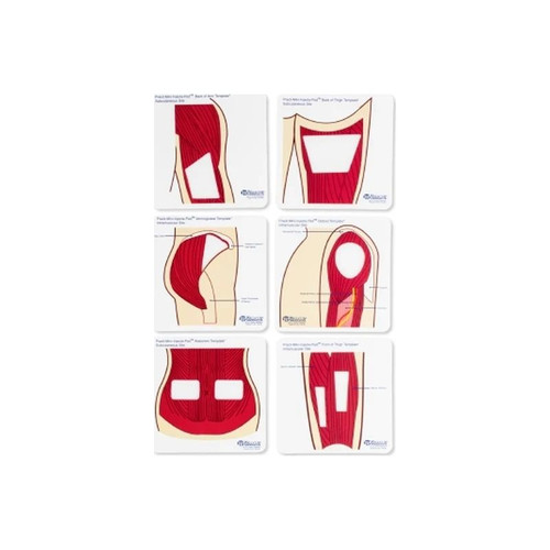 Wallcur - Practi-Mini Anatomical Templates - 577Mt - 5 X Inch - Set/6
