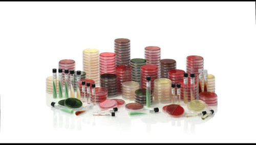 Bd - 221289 - Plates Trypticase W/Sheepbld  100Bx - BX/100