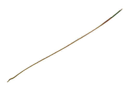 Bard Rochester - 022104 - Bard Woven Filiform, Spiral Tip, 12.5 In, 31.75 Cm, Reusable, 4 Fr - Each