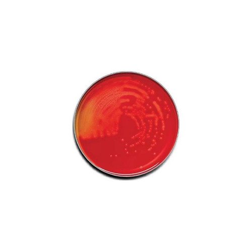 Bd Becton Dickinson - Bbl - 221261 - Plate, Blood Tsa 5%