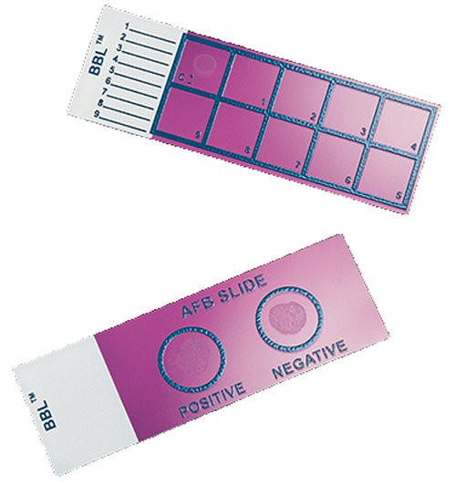 Bd Becton Dickinson - Bbl - 231401 - Slide Bactrol Gram Stain