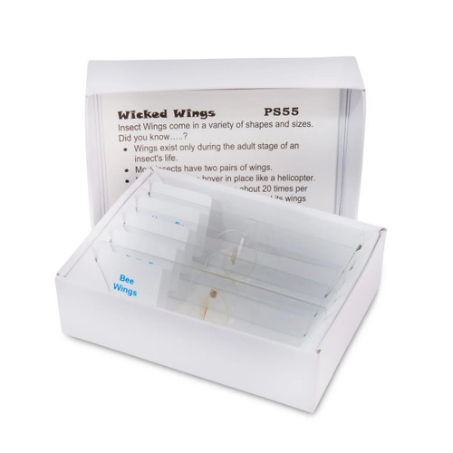 C&a Scientific - Ps55 - Wicked Wings 5pc Slide Set