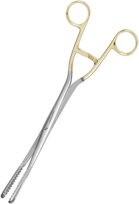 Medgyn - 031131 - Obstetrical Forceps Bierer 11 Inch Length Surgical Grade Stainless Steel Nonsterile Nonlocking Finger Ring Handle Slightly Curved 16 Mm Coarse Serrated Fenestrated Oval Jaws
