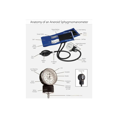 Prestige Medical - 80-Blad - Aneroid Replacement Parts - Bladders - 2 - Tube Bladder - Adult