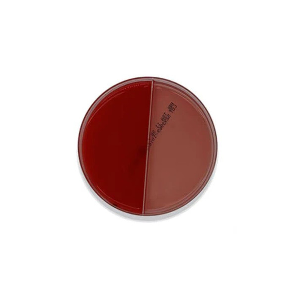 Bd Becton Dickinson - Bbl - 221291 - Media, Tsa W/5% Sb & Maconk 4321291 - Carton/100
