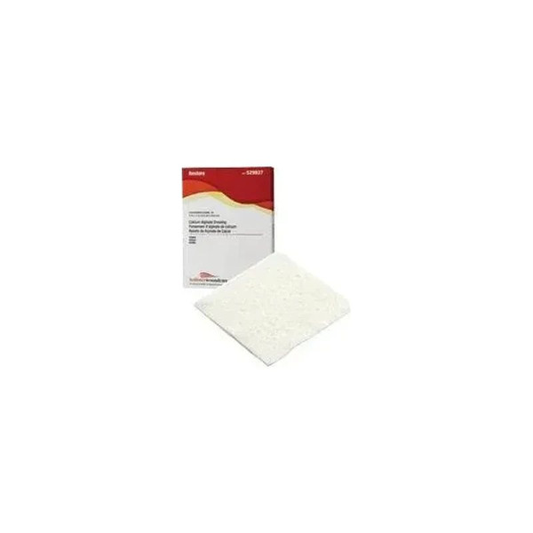 Hollister - Restore - 529969 - Silver Alginate Dressing 12 Inch Length Rope Sterile - Each