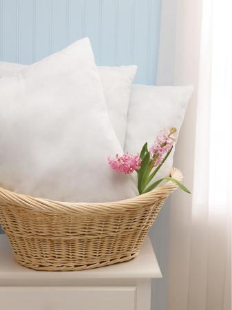 Medline - Non2439322 - Pillow,Disposable,21X27,Heavy Wt - Case/12