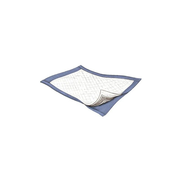Griffin Care - Passport - 3830 - Disposable Underpad 22 X 35 Inch Fluff Light Absorbency - Case/100