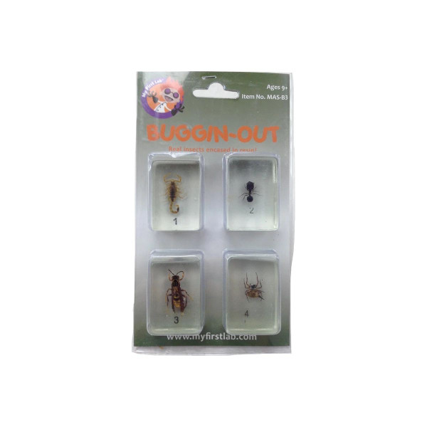 C&a Scientific - Mas-B3 - 4 Pcs Bug Set - Each