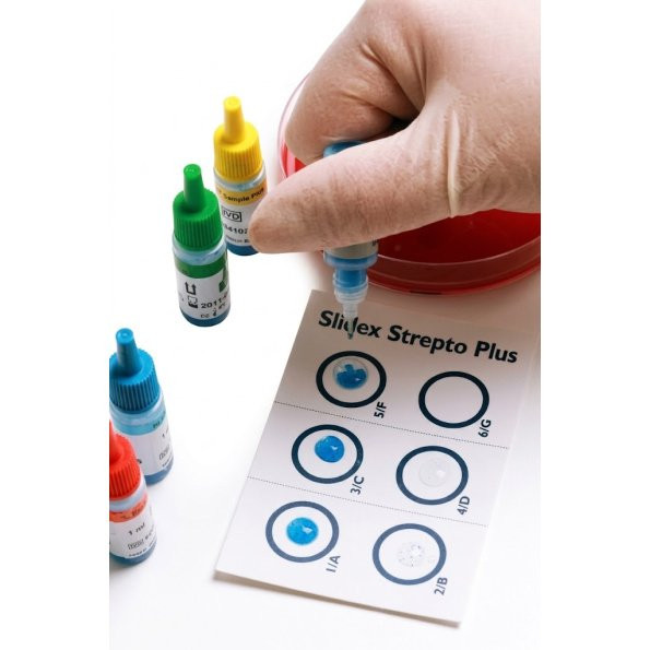 Bd - 240922 - Test, Streptocard Acid Group Bd/S - EA/1