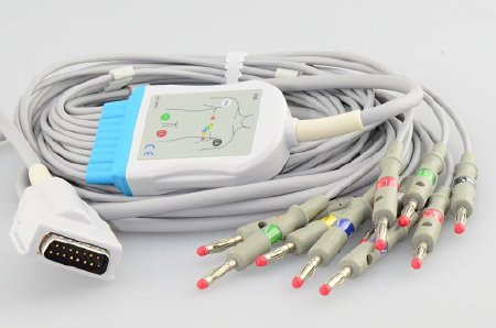 Sage Services Group - A1510Msb - 10 Lead Set, Banana Burdick Mixed Lnth - EA/1