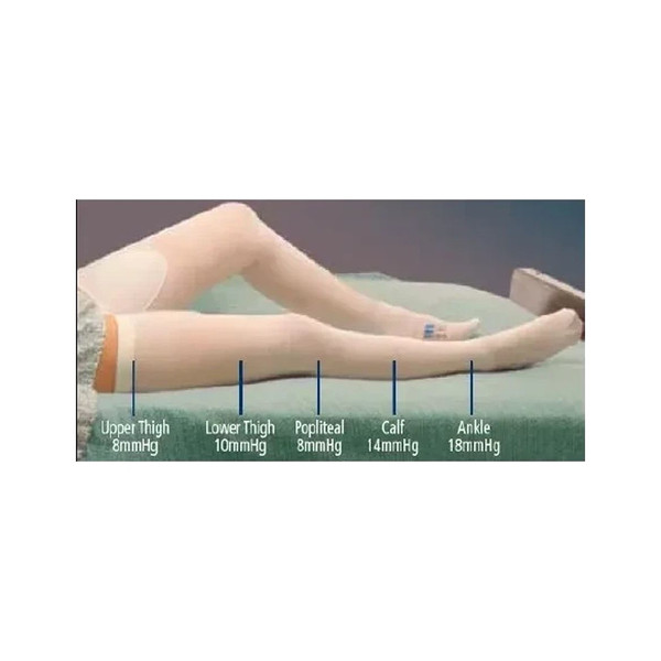 Cardinal Covidien - T.E.D. - 3185lf - Medtronic / Covidien Thigh Length Anti-Embolism Stocking, Long Length, Latex Free (Lf)
