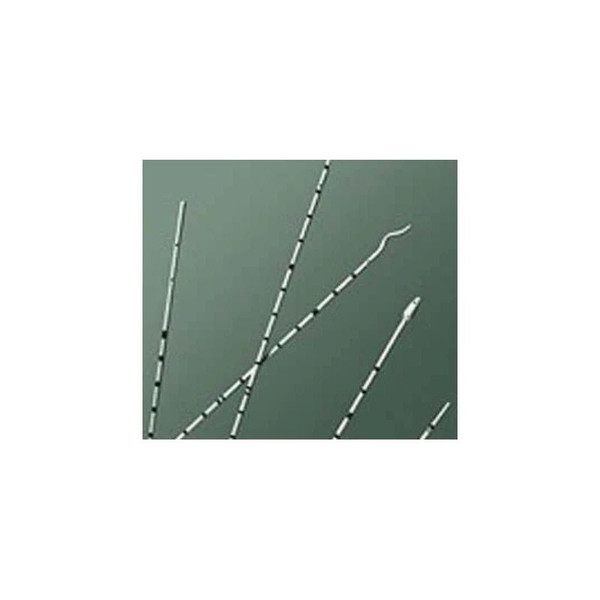 Bard Rochester - 138008 - Ureteral Catheter Cone Tip Polyurethane 5 Fr 28 Inch