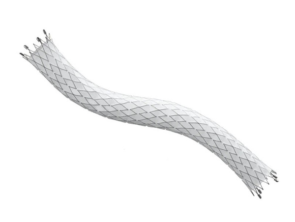 Bard Rochester - Fluency Plus - Fem14080 - Endovascular Stent Graft 10 Fr.