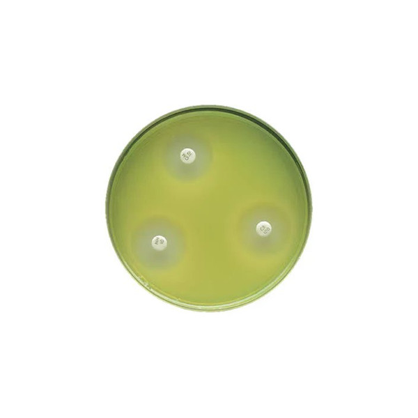 Bd Becton Dickinson - Bbl - 221275 - Prepared Media Mueller Hinton Ii Agar Mono - Plate Format