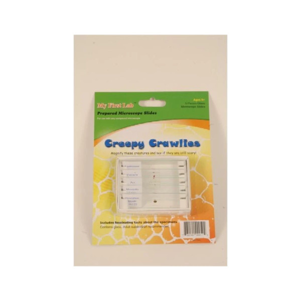 C&a Scientific - Ps52 - Creepy Crawlies 5pc Slide Set