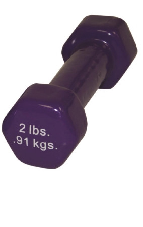 Fabrication Enterprises - Cando - 10-0551 - Solid Iron Dumbbell, Color - Coded Vinyl Coated 2 Lb 1 Ea (Fe100551)