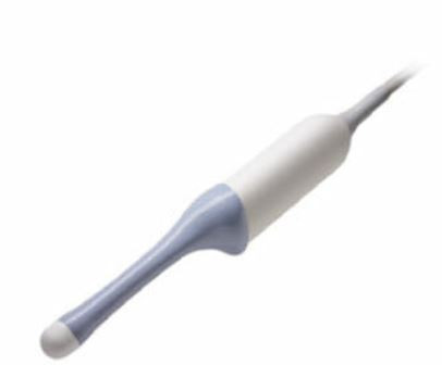 Ge Healthcare - H48701Ej - Ultrasound Probe Ric5 - 9A - Rs