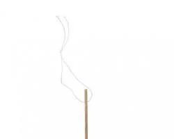 Medgyn - 021022 - Cervical Dilator Extra Small / 2 Mm Laminaria Sterile