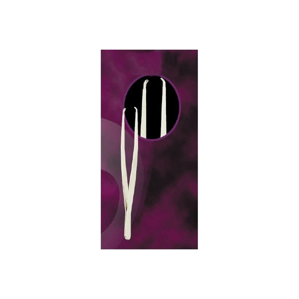 Medical Action Industries - 56241 - Tissue Forceps 5 Inch Length Floor Grade Stainless Steel Nonlocking Thumb Handle Straight Serrated Tip