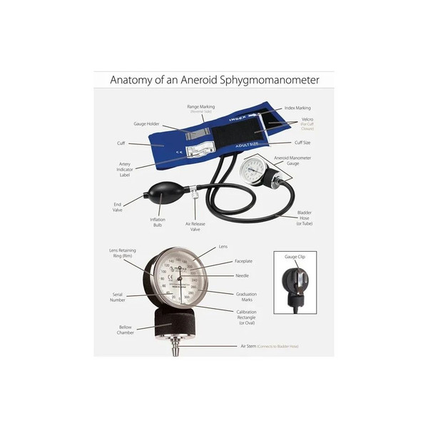 Prestige Medical - 80-Blad-Th - Aneroid Replacement Parts - Bladders - 2 - Tube Bladder - X - Large Adult