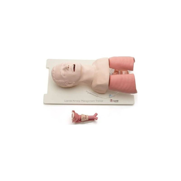 Sam Medical - L250000 - Bound Tree Laerdal Airway Management Trainer
