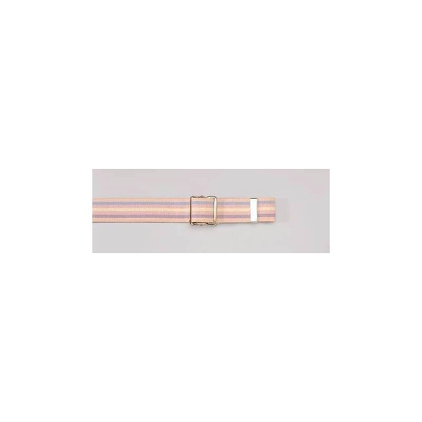 Tidi Products - Posey - 6531L - Single Paitent Use Gait Belt Pastel Long, Up To 74", 2" Width, 342 Lbs (156 Kgs) Capacity, Nickel - Plated Metal Buckles.