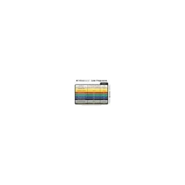 Hygenic - Thera-Band - 12714 - Resistance Band, Consecutive Loops, Pre-Cut Individual Bands Thin