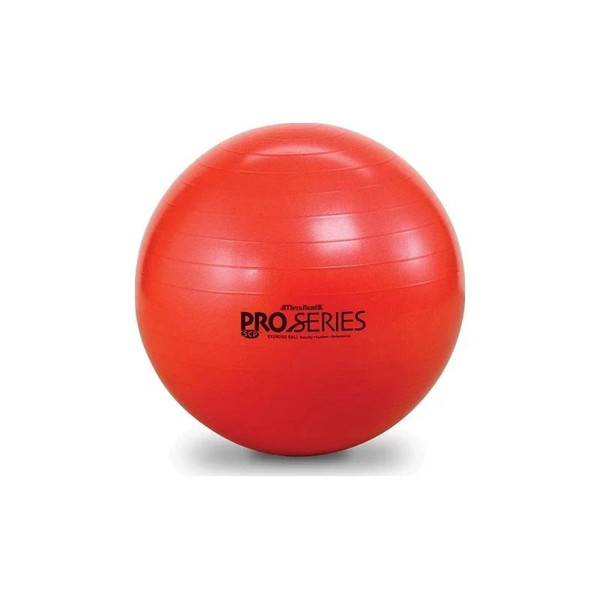 Hygenic - Thera-Band - 23120 - Standard Exercise Ball