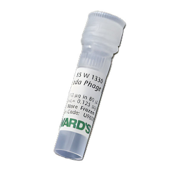 Ward'S Science - 851330 - Marker Lambda Phage Dna D/S - Box/1