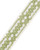 Bellingrath Diamonds border tape spring green and white