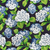 hydrangea print fabric