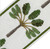 Green Palm trees high quality embroidered trim tape with green satin stitch border 3.9" wide