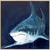 large scale framed canvas painting of great white shark 60"