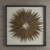 Circle of Pheasant Feathers Shadow Box