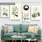 White Peony And Rose Floral Modern Rolled 4 Multi Panel Minimalist Set Painting Photograph Print on Canvas Home Wall Decor