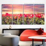 Tulip Flowers Field At Sunset Floral Modern Framed Painting Pictures 4 Piece Canvas Wall Art Set Australia For Living Room