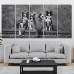 Border Collie Dog Animal Modern Framed Painting Pictures 5 Piece Canvas Wall Art Set Australia For Living Room Border Collie Dog Animal Modern Framed Painting Pictures 5 Piece Canvas Wall Art Set Australia For Living Room
