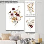 Wild Florets Botanical Vintage Floral Art Framed Artwork Photo 3 Piece Multi Panel Wall Art for Room Decor Wild Florets Botanical Vintage Floral Art Framed Artwork Photo 3 Piece Multi Panel Wall Art for Room Decor