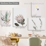 Protea Floret Leafage Modern 4 Multi Panel Floral Painting Set Photograph Rolled Canvas Print for Room Wall Finery Protea Floret Leafage Modern 4 Multi Panel Floral Painting Set Photograph Rolled Canvas Print for Room Wall Finery